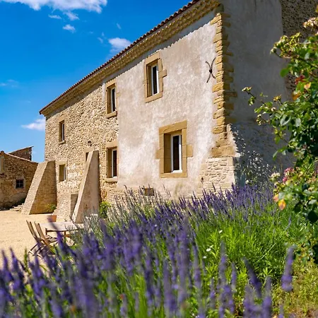 Le Petit Riousset, A La Campagne, Piscine Panzió 4*